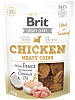 Brit Dog SN Jerky Chicken&Insect M. Coins 80g