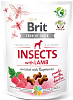 ΛΙΧΟΥΔΙΑ Brit Dog SN Crunchy Cr. Insects Lamb 200g