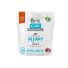 Brit Care Dog Hypoallergenic Puppy lamb 1kg