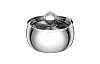 Pet Water Fountain Curvy Stain Steel 4lt