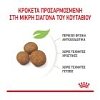 Royal Canin Giant Puppy 15kg -15%