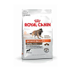 Royal Canin Dog Sport Life Trail 4300 15kg