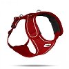 Curli Belka Harness Air-Mesh Ruby 2XL