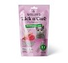 WELLFED LICK N' CARE HAIRBALL AID 15GR