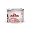 ΚΟΝΣΕΡΒΑ ΓΑΤΑΣ ROYAL CANIN F.WET BABYCAT CAN 195gr