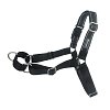 Go Get Dog Training Guide & Leash large