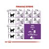 Royal Canin Cat Sensible33 4kg -15%