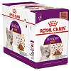 Royal Canin FHN Sensory Taste 85gr