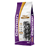 Gemon Dog Adult Maxi Chicken 20kg