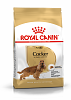 Royal Canin Dog BHN Cocker 3Kg