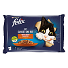 Felix Agail Gij MV Rabbit3 12(4x85g) IT