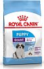 Royal Canin SHN Giant Puppy 15kg