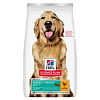 Hills SP Dog Perfect Weight Large Breed 12kg