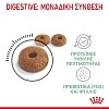 Royal Canin Cat FCN Digestive Care 400g