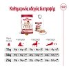 Royal Canin Dog SHN Medium Adult 15kg