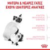 Royal Canin Cat  FHN Mother & Babycat 2kg