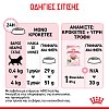 Royal Canin Cat FHN Kitten 2kg