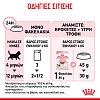 Royal Canin F.Wet Kitten Gravy 85g