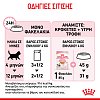 Royal Canin  F.Wet Kitten Jelly 85g