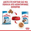 Royal Canin SHN Maxi Puppy 140gr