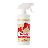 Taonex Spray 500ml