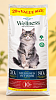 Wellness Cat Adult Daily 20kg