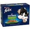 Felix Agail Beef, Manzo & Carote 850gr