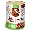 Fisi Fillet Cat Adult Αρνί Σε Ζελέ 400gr