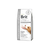 Brit Vd Gf Dog Mobility 2kg