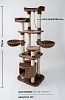 Catoikos Cat Playground''''infinitive Joy'''' Brown