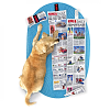 Kong Daily Newspaper XL