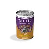Wellfed Intestinal Turkey 400 gr