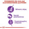 Royal Canin Cat Fhn Sensible 400gr