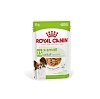 SHN XSMALL ADULT GRAVY 85gr