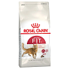 Royal Canin Cat Fit32 400gr
