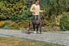Βοήθημα Στήριξης Trixie Lifting Aid L-XL 75-90cm Μαύρο