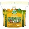 Χόρτο Orchard Grass Hay 1,13kg